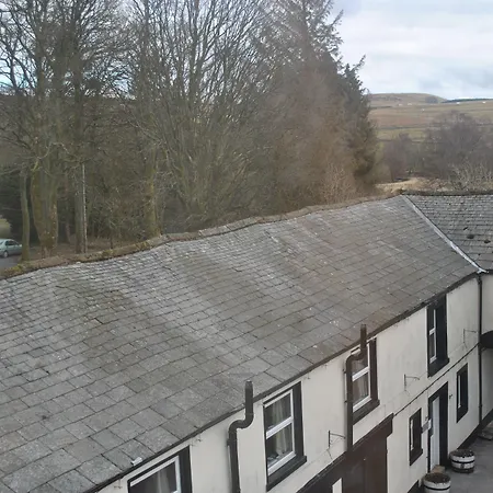 Wells 3* Shap